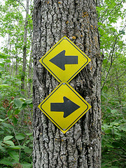 signs opposing direction A.T.